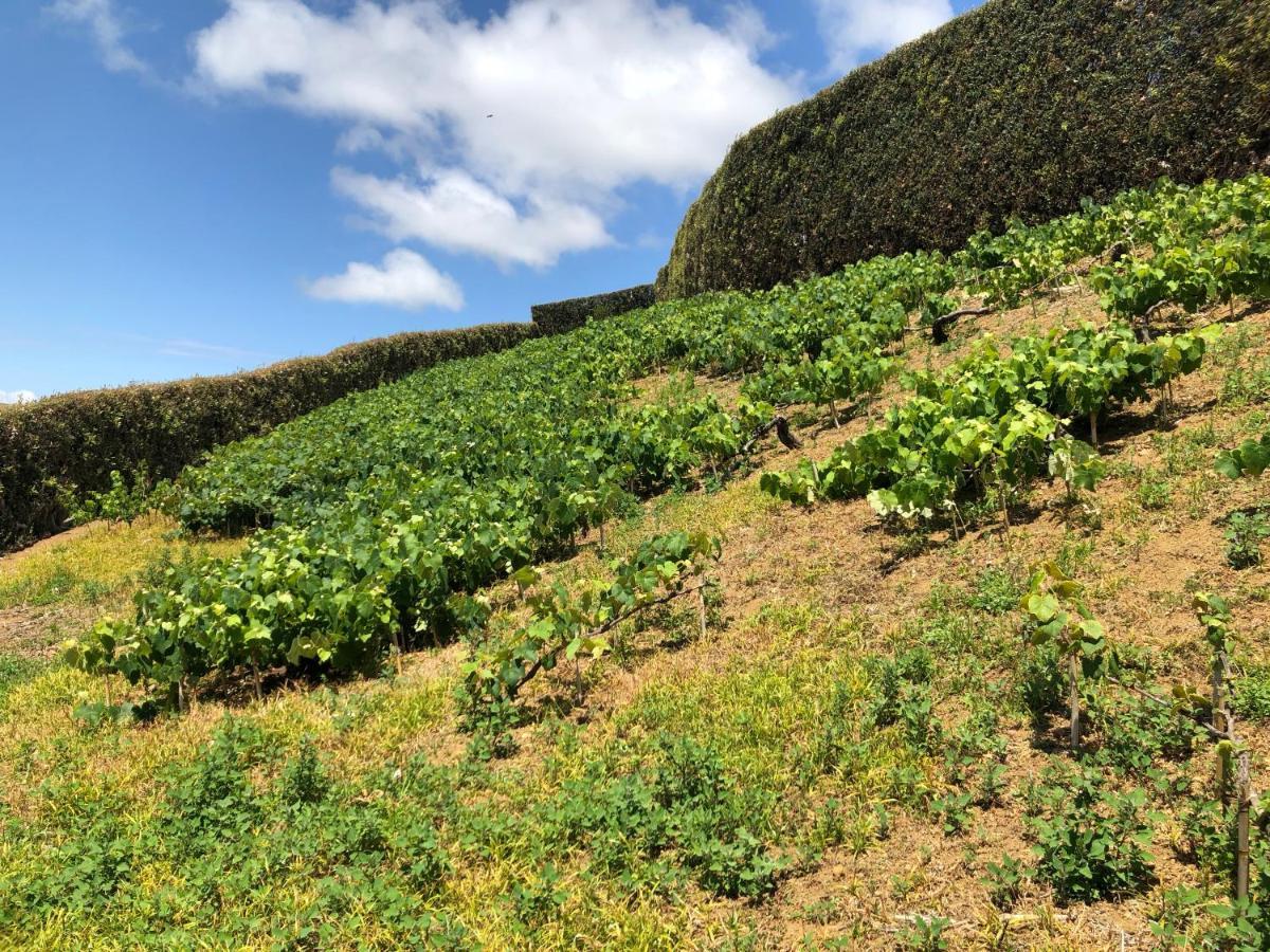 蓬塔德尔加达Quinta Do Pico别墅 外观 照片